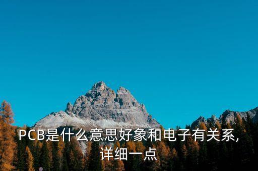 PCB是什么意思好象和電子有關(guān)系,詳細(xì)一點(diǎn)
