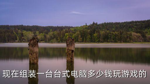 現(xiàn)在組裝一臺(tái)臺(tái)式電腦多少錢玩游戲的