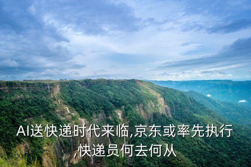物流機(jī)器人的將來(lái),物流機(jī)器人可以作為物流倉(cāng)儲(chǔ)主力么?