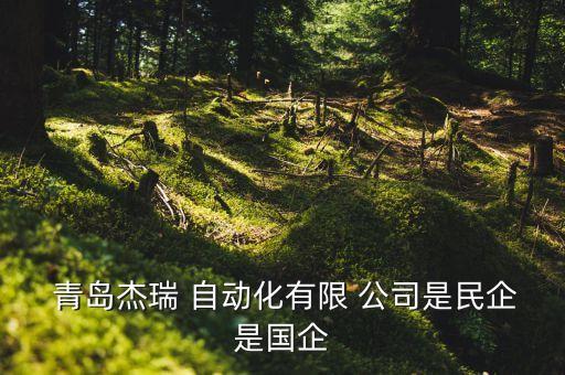  青島杰瑞 自動(dòng)化有限 公司是民企是國企