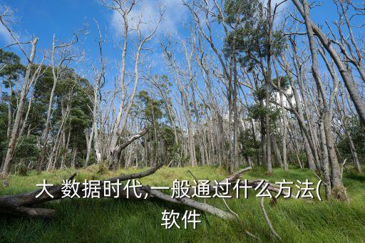 大 數(shù)據(jù)時(shí)代,一般通過什么方法( 軟件