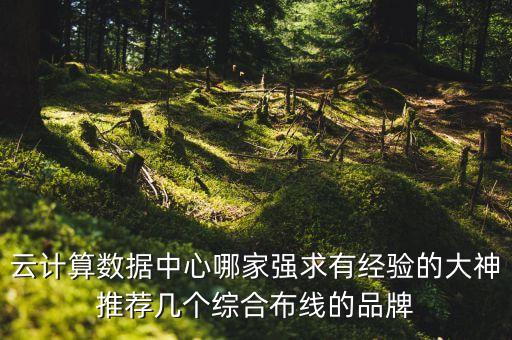 云計(jì)算數(shù)據(jù)中心哪家強(qiáng)求有經(jīng)驗(yàn)的大神推薦幾個(gè)綜合布線的品牌
