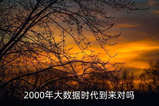2000年大數(shù)據(jù)時(shí)代到來對(duì)嗎
