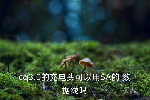 cq3.0的充電頭可以用5A的 數(shù)據(jù)線嗎