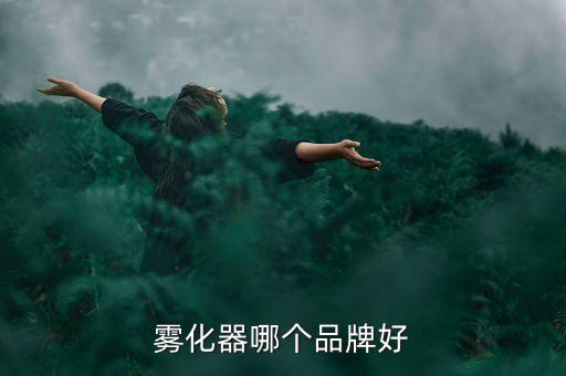 霧化器哪個品牌好