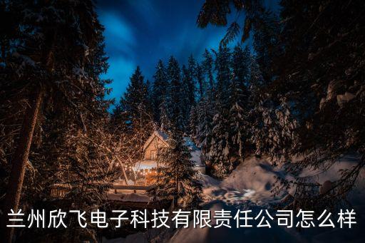 蘭州欣飛電子科技有限責(zé)任公司怎么樣