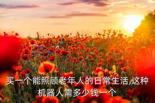 買(mǎi)一個(gè)能照顧老年人的日常生活,這種機(jī)器人需多少錢(qián)一個(gè)