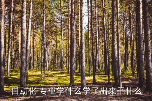信息類的自動(dòng)化專業(yè)是什么,山東省考自動(dòng)化專業(yè)是什么類