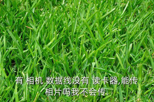 有 相機 數(shù)據(jù)線沒有 讀卡器,能傳相片嗎我不會傳.