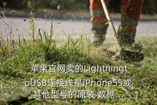  蘋果官網(wǎng)賣的LightningtoUSB連接線是iPhone5S或其他型號(hào)的原裝 數(shù)據(jù)...