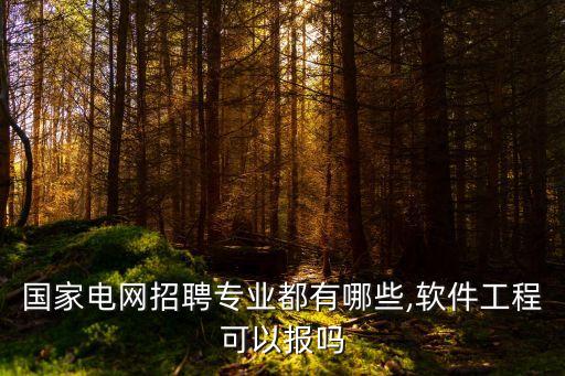 國家電網(wǎng)招聘專業(yè)都有哪些,軟件工程可以報嗎