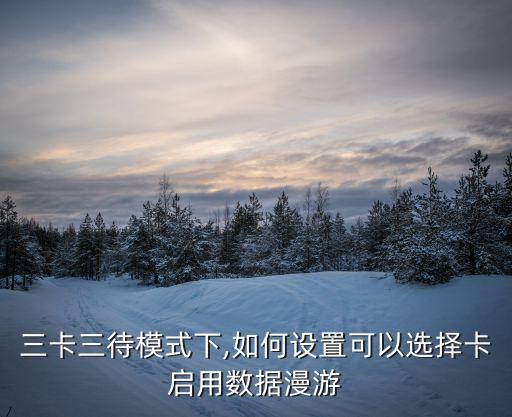 三卡三待模式下,如何設(shè)置可以選擇卡啟用數(shù)據(jù)漫游