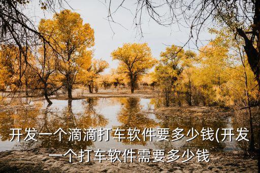 滴滴出行數(shù)據(jù)接口,滴滴發(fā)展歷史