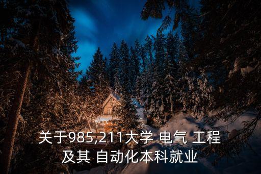 電氣工程及其自動(dòng)化廣東公司