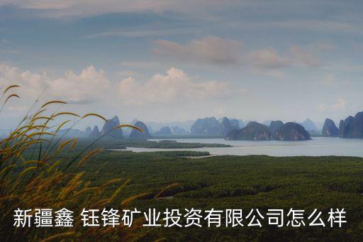 新疆鑫 鈺鋒礦業(yè)投資有限公司怎么樣