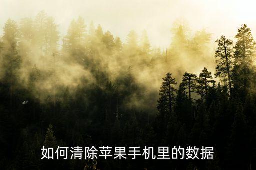 如何清除蘋果手機(jī)里的數(shù)據(jù)