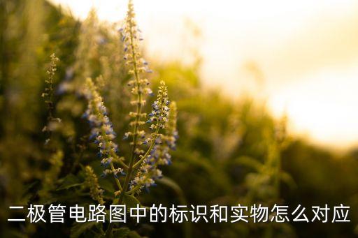 二極管電路圖中的標(biāo)識(shí)和實(shí)物怎么對(duì)應(yīng)