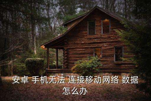手機(jī)不能開啟數(shù)據(jù)連接怎么辦,蘋果手機(jī)的數(shù)據(jù)連接在哪里開啟?