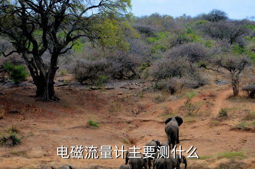 電磁流量計主要測什么