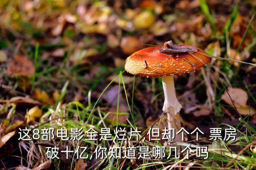 這8部電影全是爛片,但卻個(gè)個(gè) 票房破十億,你知道是哪幾個(gè)嗎