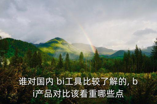 誰(shuí)對(duì)國(guó)內(nèi) bi工具比較了解的, bi產(chǎn)品對(duì)比該看重哪些點(diǎn)