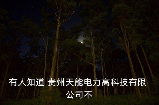有人知道 貴州天能電力高科技有限 公司不