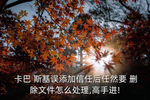  卡巴 斯基誤添加信任后任然要 刪除文件怎么處理,高手進(jìn)!