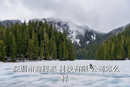 深圳市鑫輝泰 科技有限 公司怎么樣