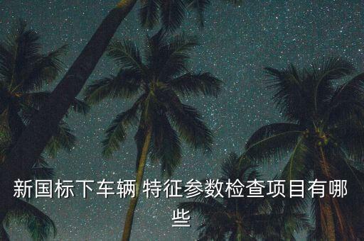 新國標下車輛 特征參數(shù)檢查項目有哪些