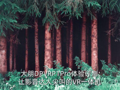  大朋DPVRP1Pro體驗(yàn)評測:讓影音達(dá)人尖叫的VR一體機(jī)