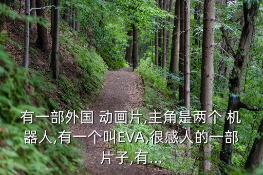 有一部外國(guó) 動(dòng)畫片,主角是兩個(gè) 機(jī)器人,有一個(gè)叫EVA,很感人的一部片子,有...