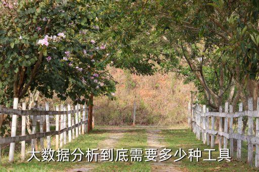 大數(shù)據(jù)分析到底需要多少種工具