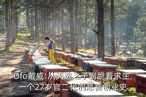 Ofo戴威:從天選之子到跪著求生,一個(gè)27歲官二代的悲喜創(chuàng)業(yè)史