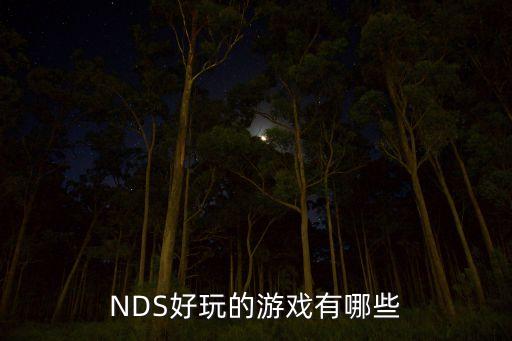 NDS好玩的游戲有哪些