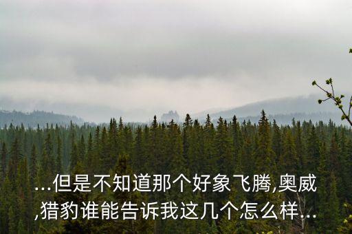 ...但是不知道那個好象飛騰,奧威,獵豹誰能告訴我這幾個怎么樣...