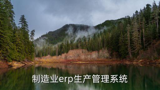 erp非標(biāo)自動化設(shè)備,什么行業(yè)涉及非標(biāo)自動化設(shè)備?