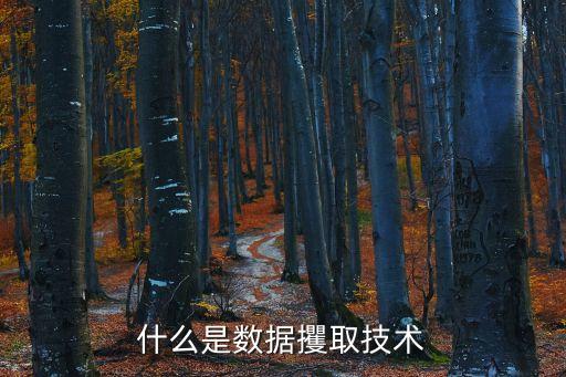 什么是數(shù)據(jù)攫取技術