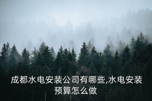  成都水電安裝公司有哪些,水電安裝預(yù)算怎么做