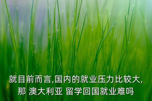 就目前而言,國(guó)內(nèi)的就業(yè)壓力比較大,那 澳大利亞 留學(xué)回國(guó)就業(yè)難嗎