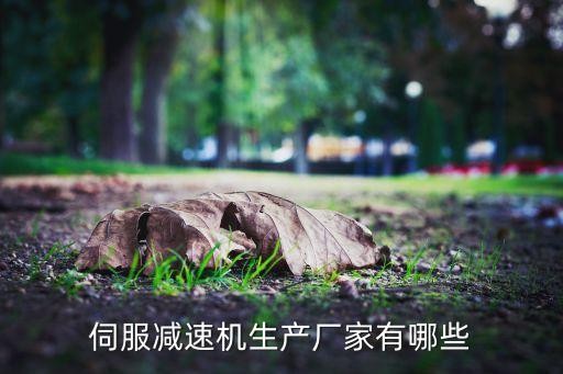 伺服減速機(jī)生產(chǎn)廠家有哪些