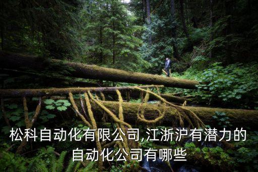 上海松科自動化有限公司,江浙滬有潛力的自動化公司有哪些?