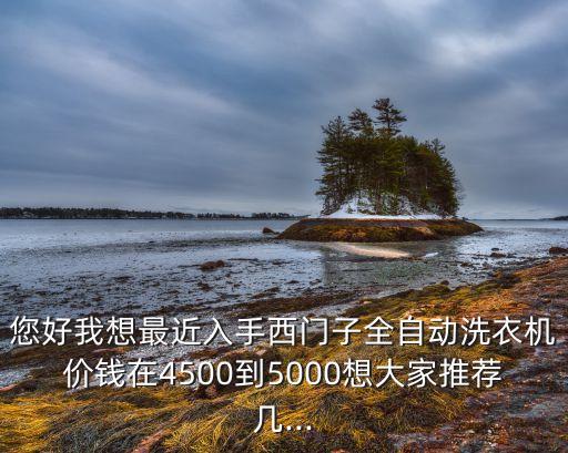 您好我想最近入手西門子全自動洗衣機(jī)價錢在4500到5000想大家推薦幾...