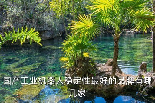 蘭戈自動(dòng)化有限公司,國(guó)內(nèi)排名靠前的工業(yè)自動(dòng)化公司有哪些?