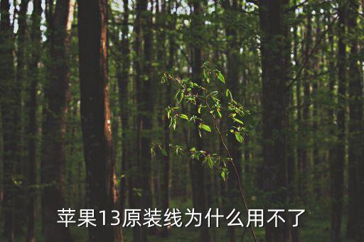 iphone數(shù)據(jù)線無(wú)法識(shí)別,數(shù)據(jù)線電腦無(wú)法識(shí)別