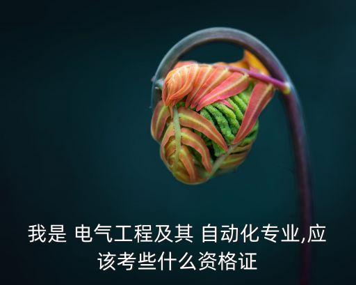 我是 電氣工程及其 自動化專業(yè),應該考些什么資格證