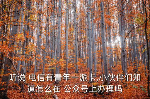 聽說 電信有青年一派卡,小伙伴們知道怎么在 公眾號(hào)上辦理嗎