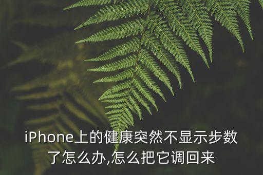 蘋果健康里體溫?zé)o數(shù)據(jù),蘋果手機(jī)怎么用?