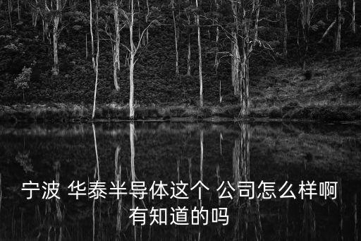 華泰電子自動(dòng)化公司怎么樣