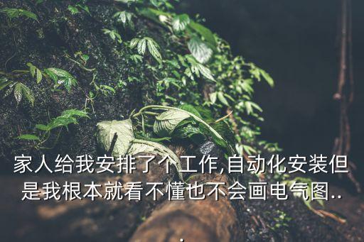 家人給我安排了個工作,自動化安裝但是我根本就看不懂也不會畫電氣圖...