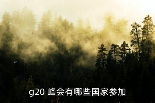 g20 峰會有哪些國家參加